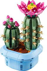 Flowering Cactus