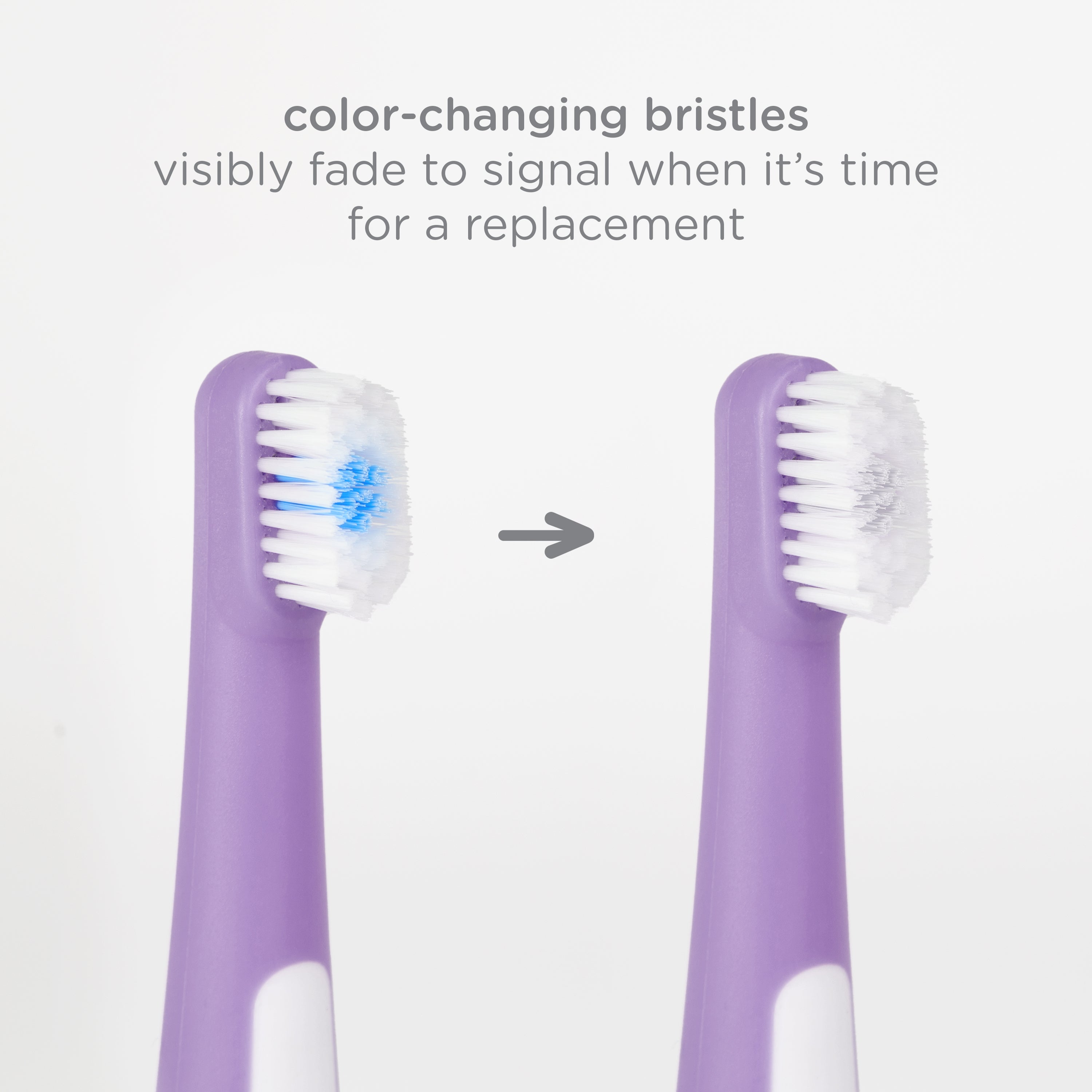 Ubbi Bristled Toddler Toothbrush 2-Pack - Smoothie + Zest