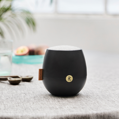 Kreafunk aJAZZ 2 Black Bluetooth Speaker