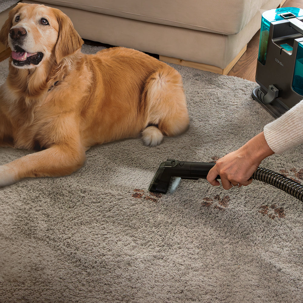 Cecotec Conga 3000 CarpetClean Upholstery cleaner