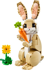 Cute Bunny