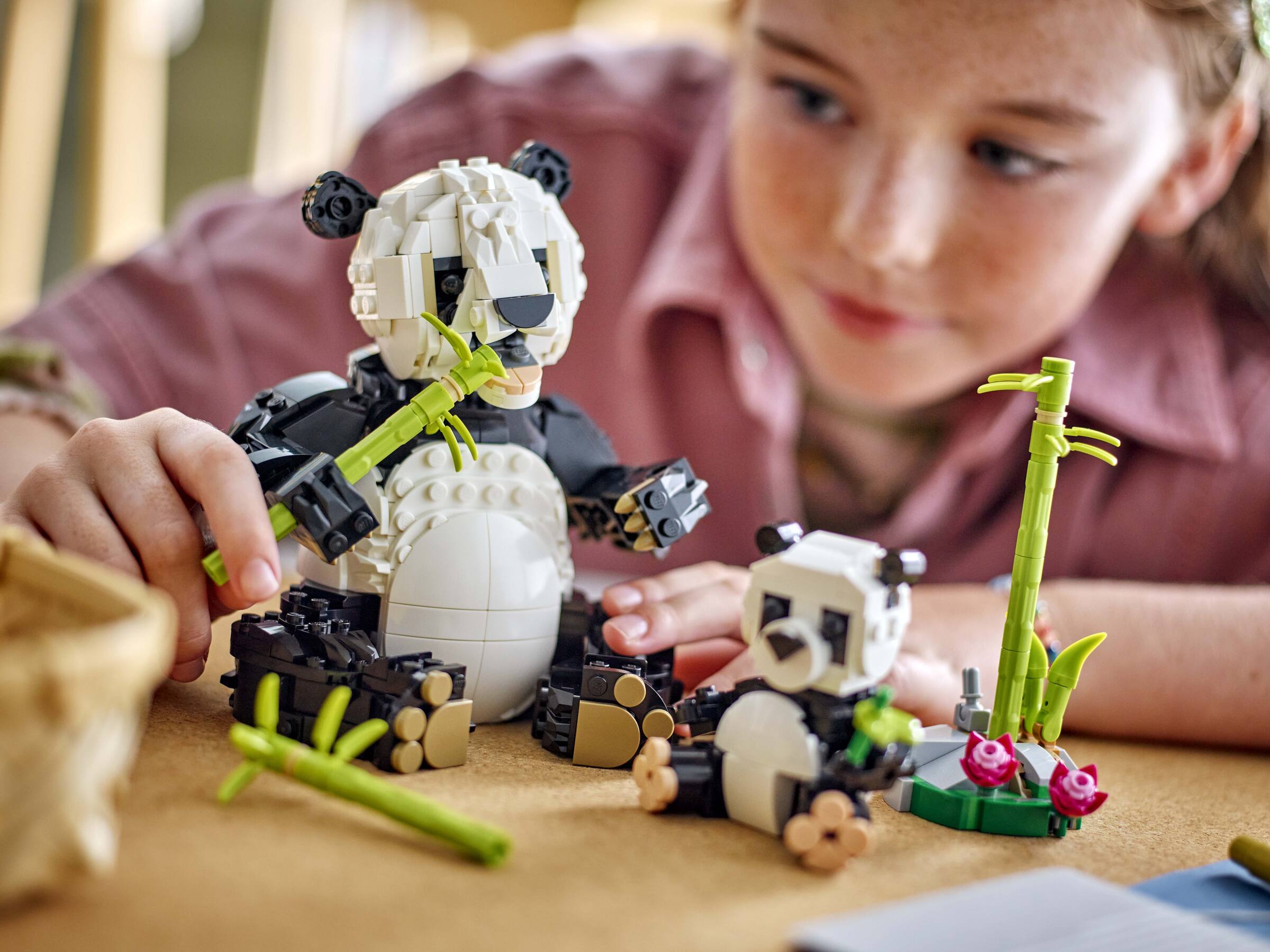 LEGO 31165 image 6