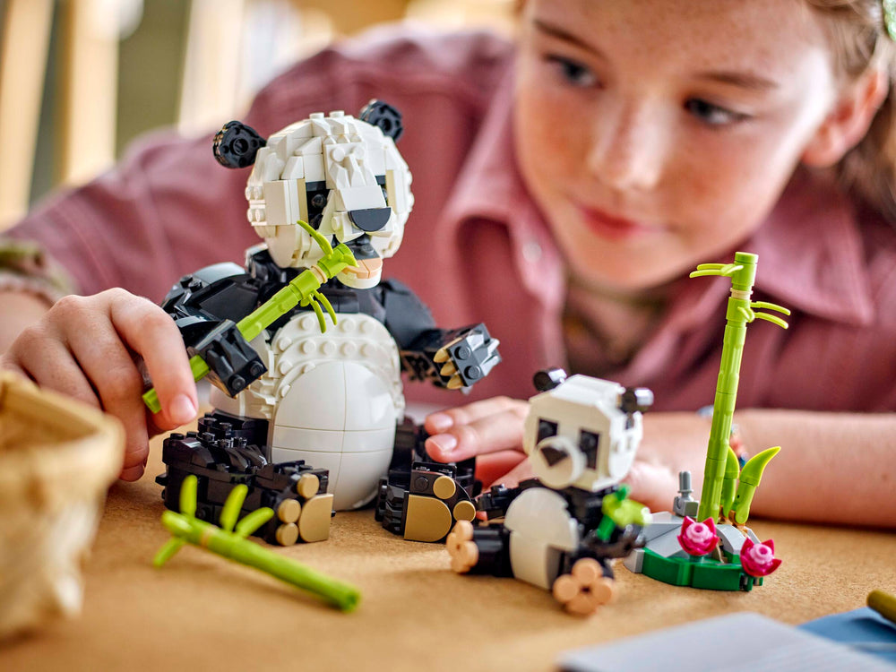 LEGO 31165 image 6