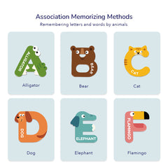 Mideer  Educational Magnets Uppercase Lowercase Numbers Symbols