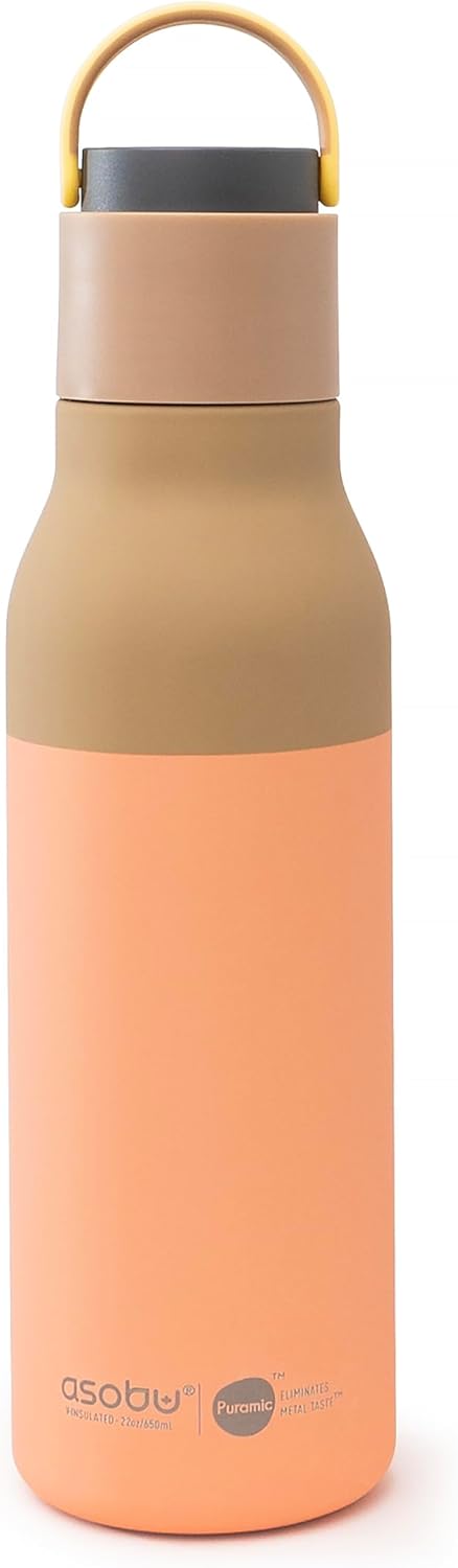 Metro Water Bottle, Double Lined Insulated Water Bottle with Pop-Up Straw and Handle