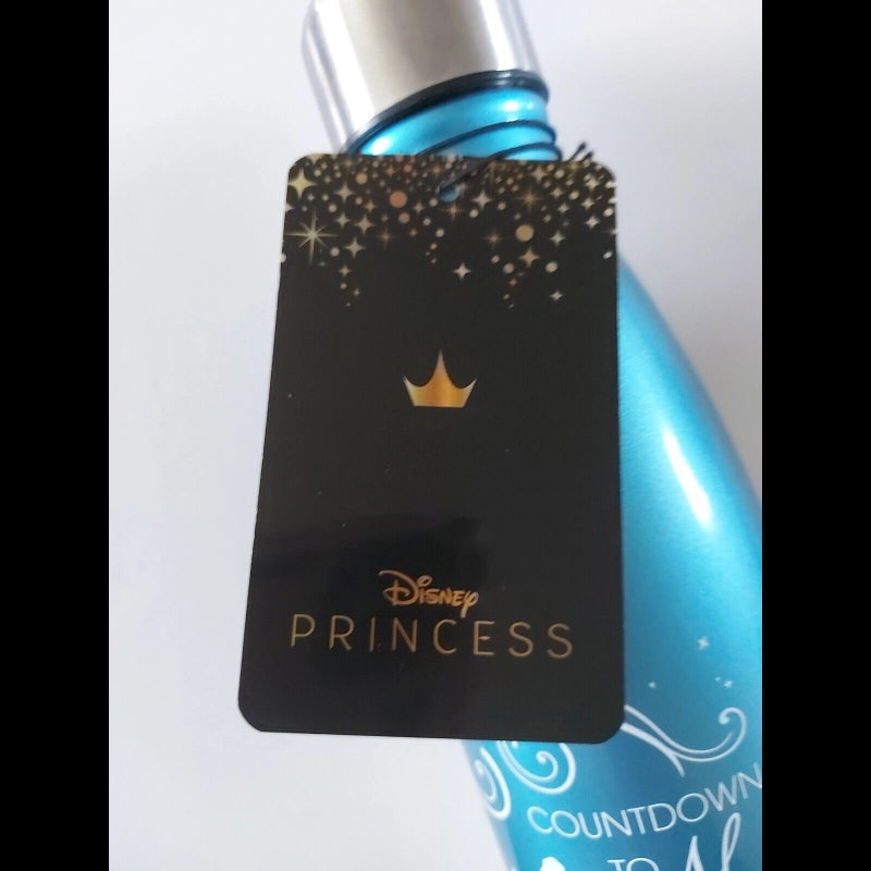 Cinderella Platinum Anniversary Metal Water Bottle- Countdown to Midnight - FG-UT-DI06350