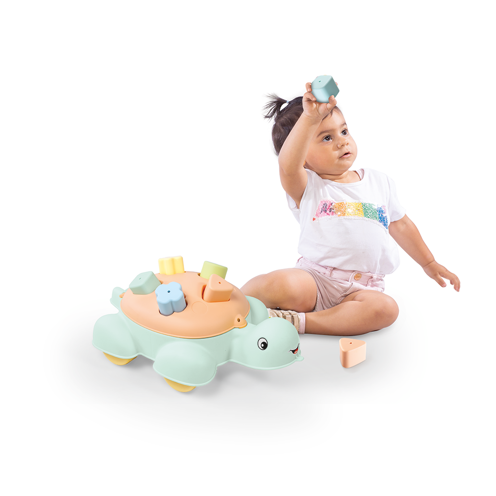 DOLU Turtle Shape Sorter New 5 Pcs