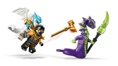 Cole's Mission Mech & Dragon Zane