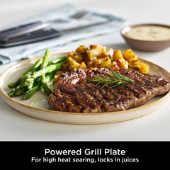 Ninja Foodi MAX Pro Health Grill, Flat Plate & Air Fry