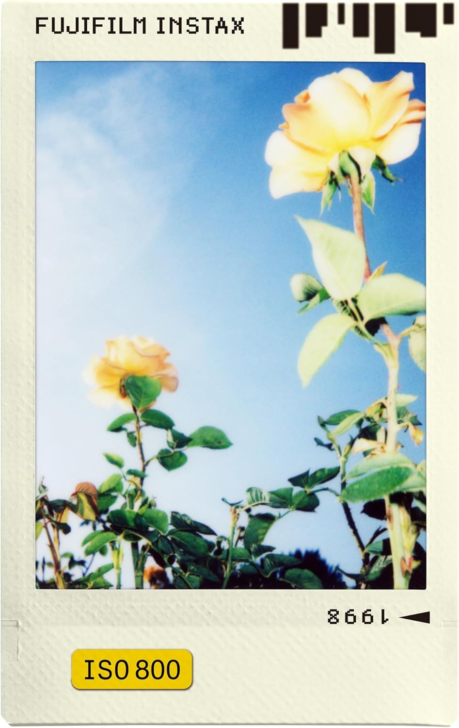 FUJIFILM Instax Mini Film Rainbow Photo Slide