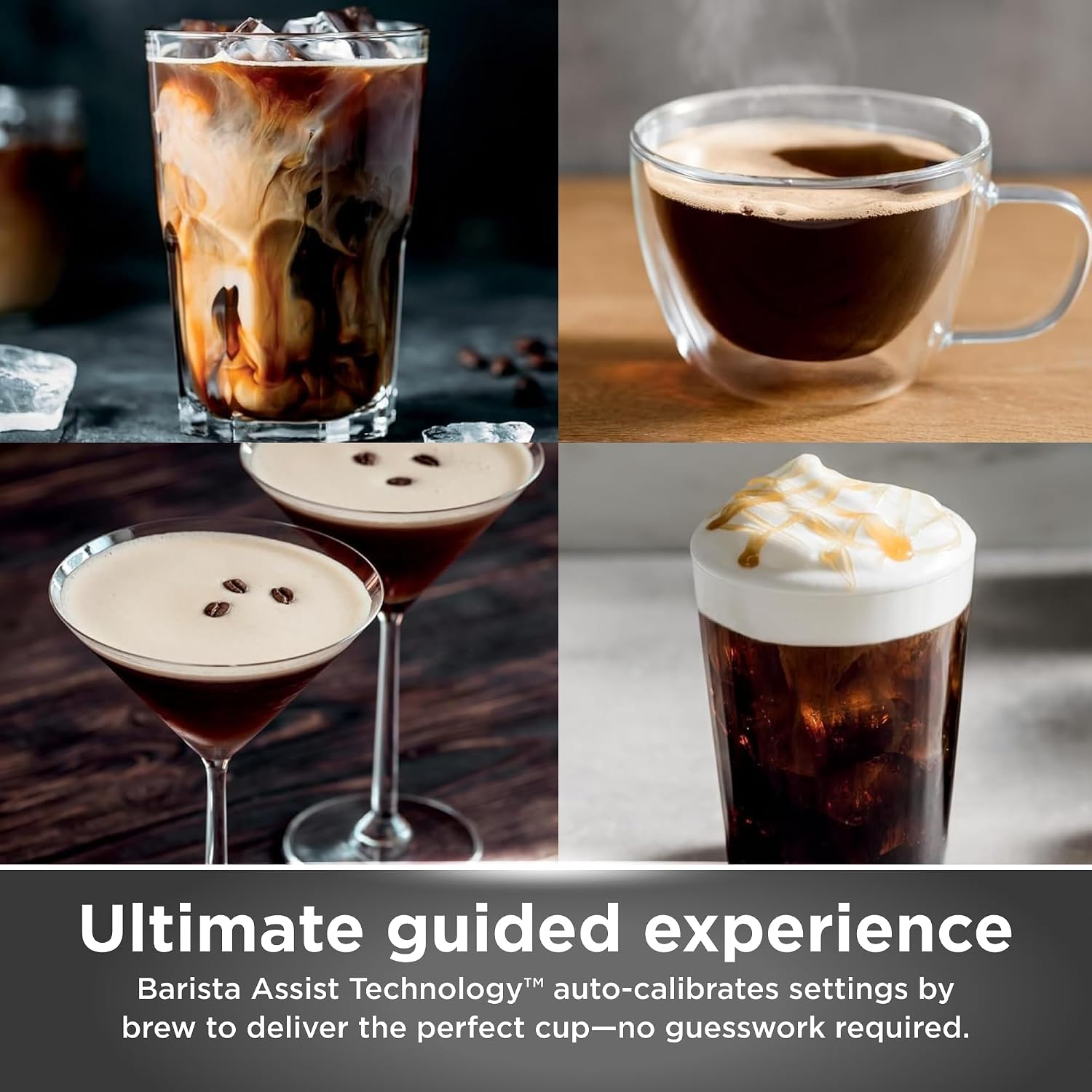 Ninja Luxe Café Premier Espresso Machine