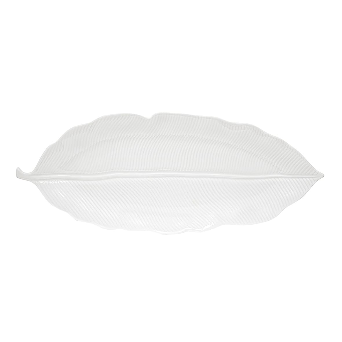 Easy Life Madagascar 47x19cm Tropical Leaf Serving Platter in Box - White
