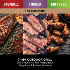 Ninja Woodfire Electric BBQ Grill & Smoker