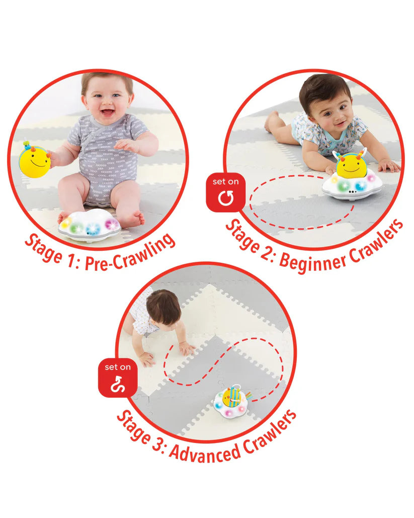 Explore & More Follow - Bee Crawl Toy Explore & More Follow - Bee Crawl Toy
