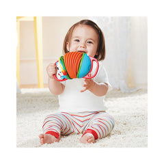 Explore & More Hedgehog Accordion Toy