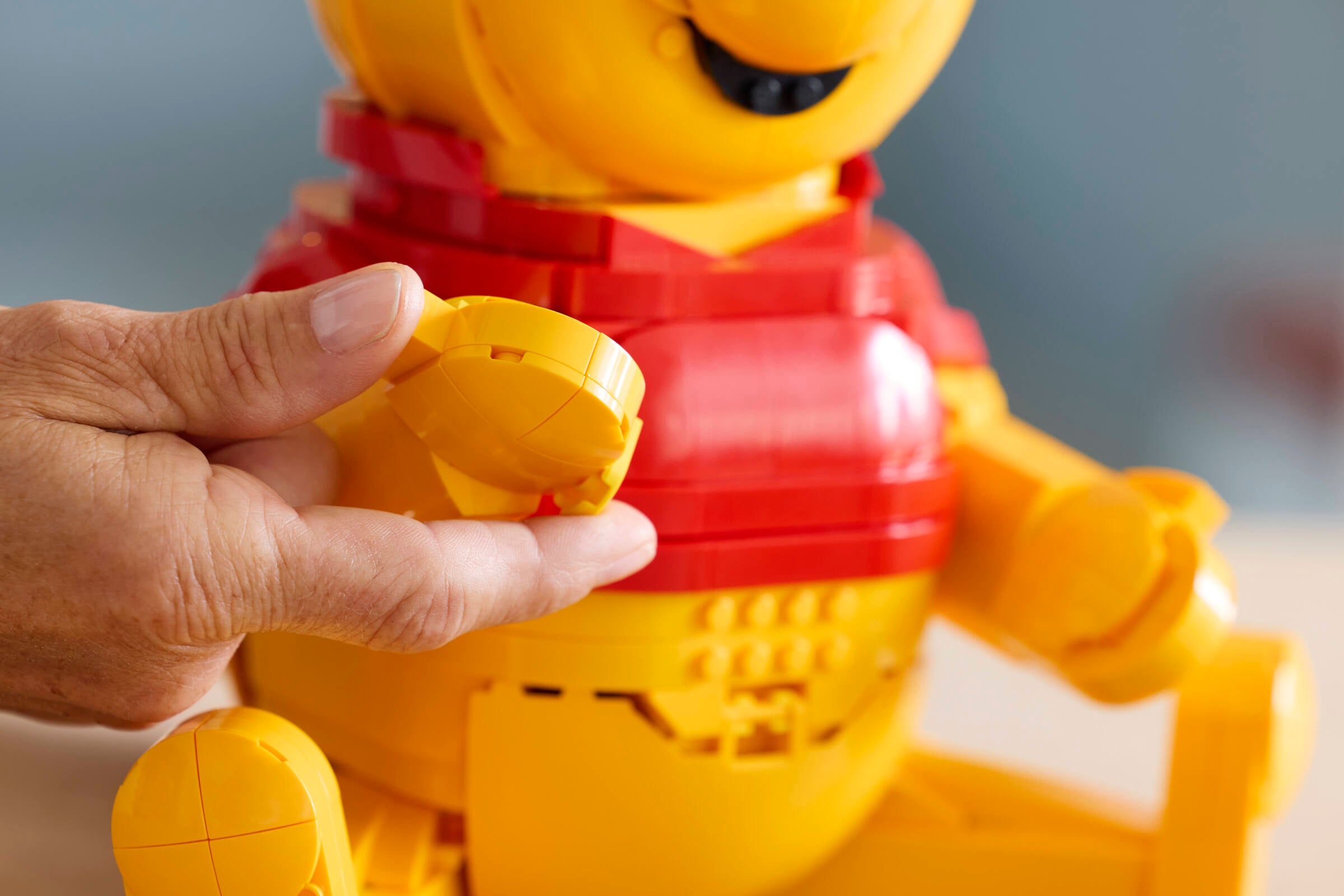 LEGO 43300 image 10