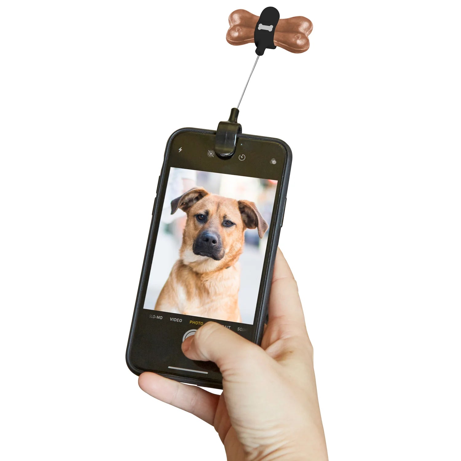 Dog treat selfie clip