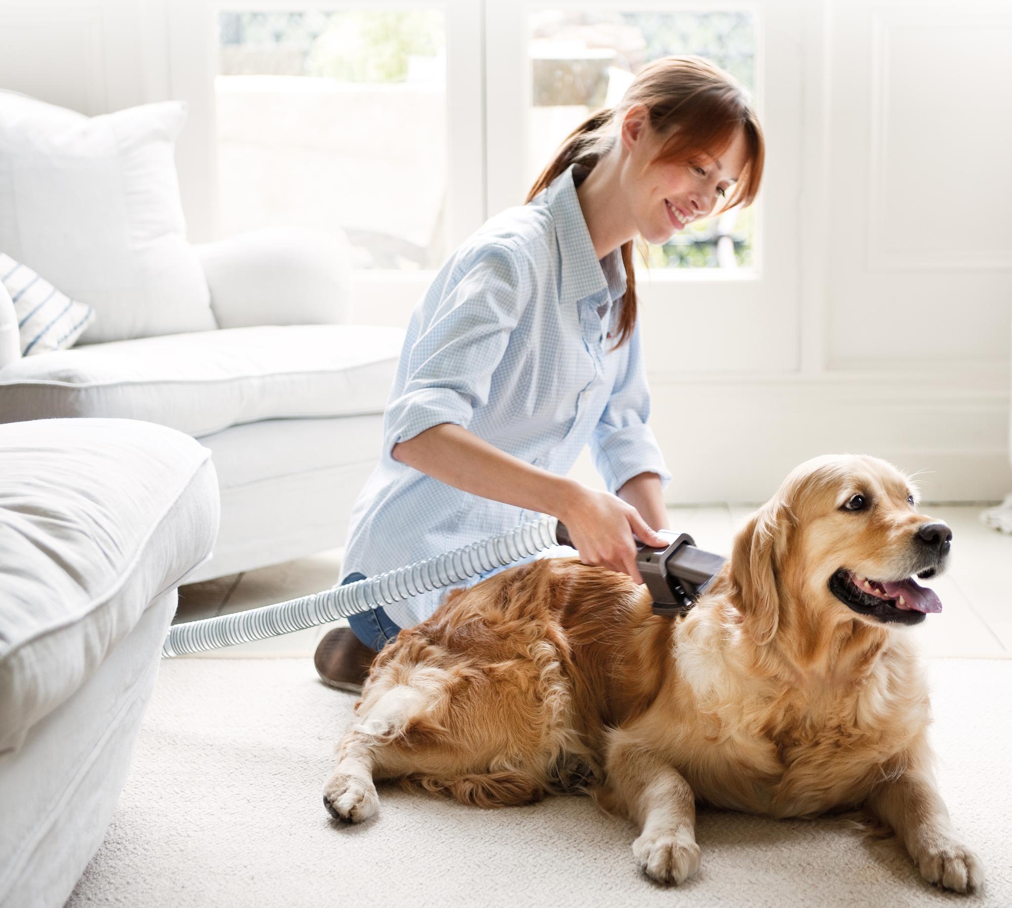 Pet Grooming Tool