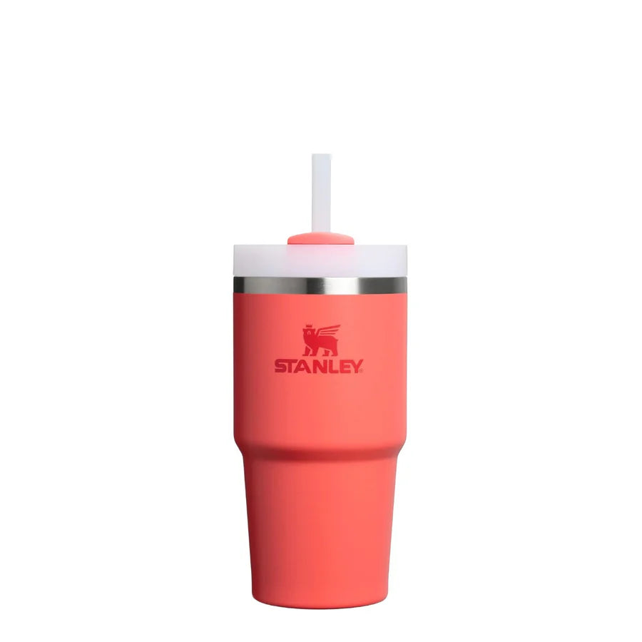 The Quencher H2.0 FlowState™ Tumbler | 0.6L - Hot Coral