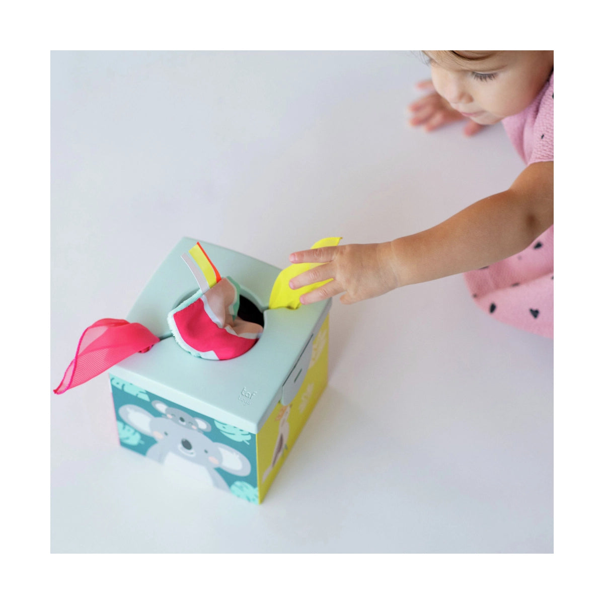 TAF TOYS Kimmy Koala Wonder Tissue Box